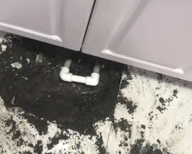 滨海新查漏水哪家好